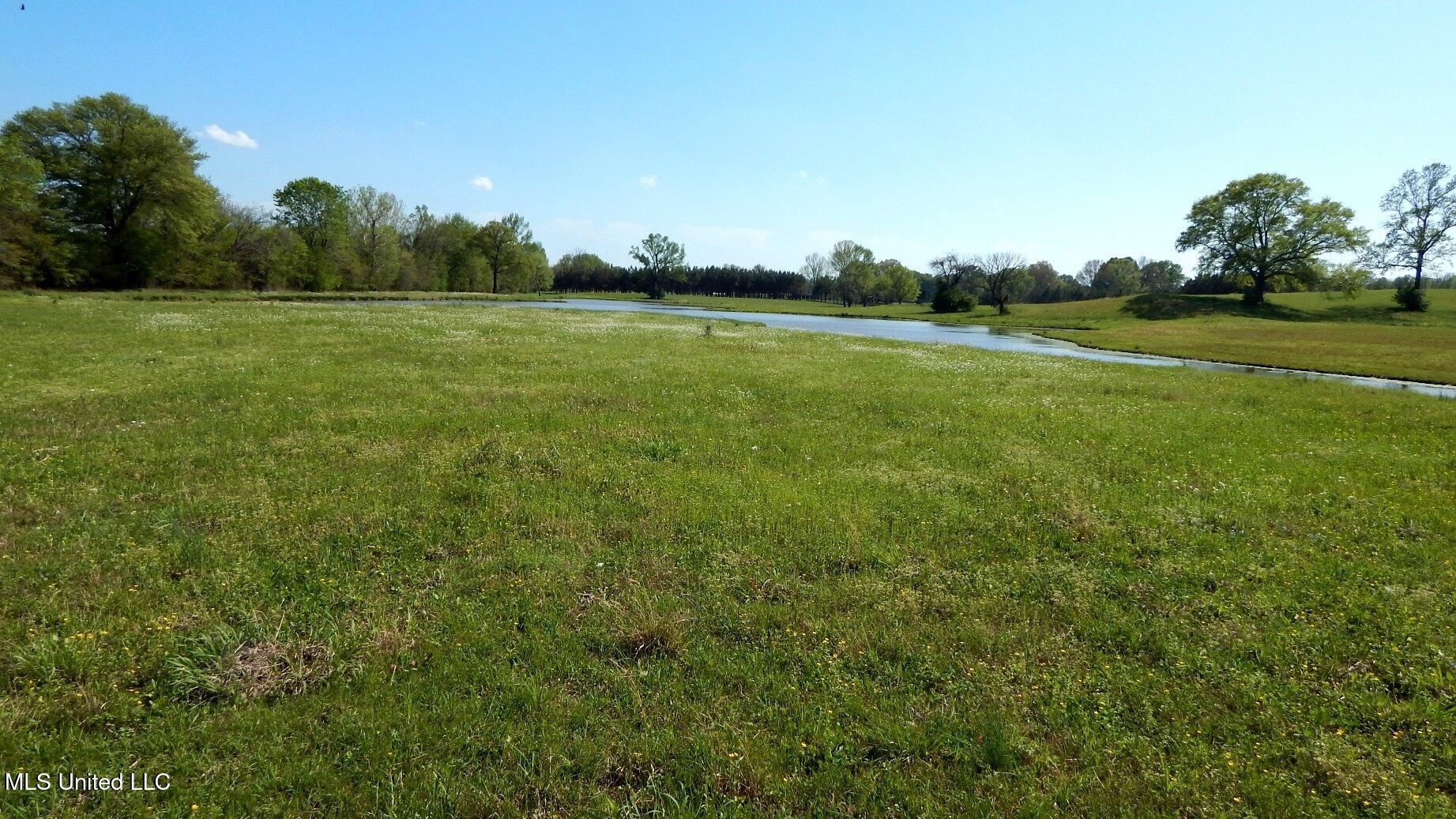 1050 Egypt Creek Road Sarah, MS 38665 - Photo 9 of 23 DSCN6755