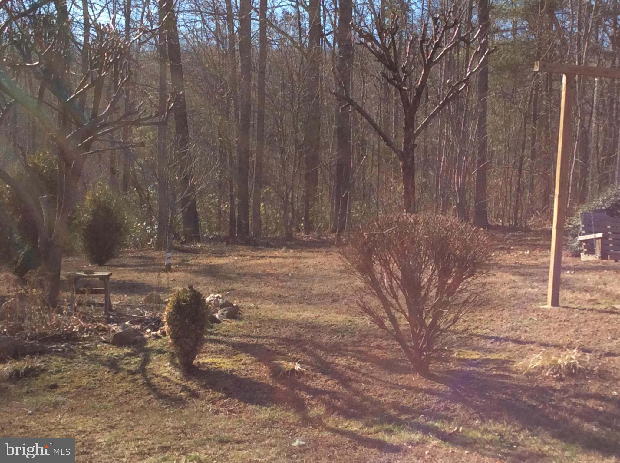 12406 Hunt Road Culpeper, VA 22701 - Photo 25 of 30 Exterior (Rear)