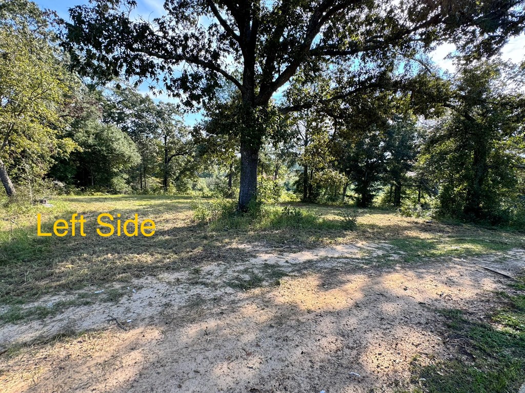 Lot 10 Ridge Drive Headland, AL 36345 - Photo 2 of 5