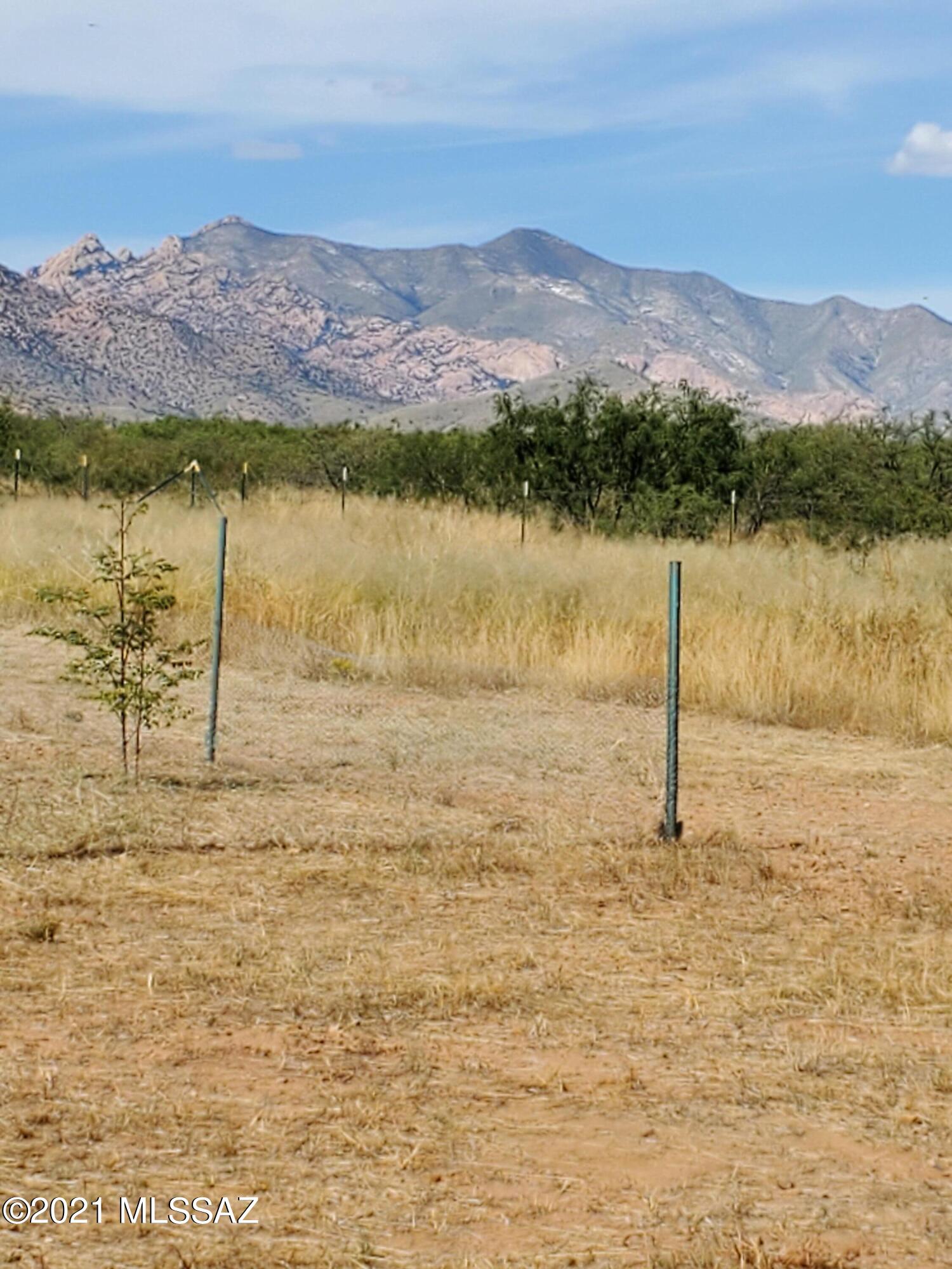Tbd South Central Road, Unit 1 Pearce, AZ 85625 - Photo 4 of 22 Gallery Image 4