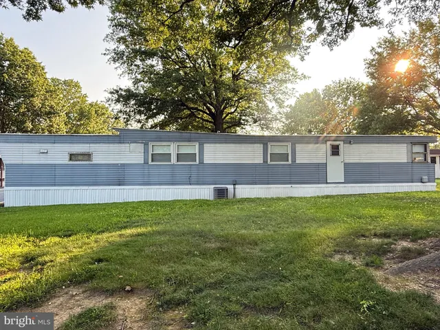 a view of a backyard with plants and large trees