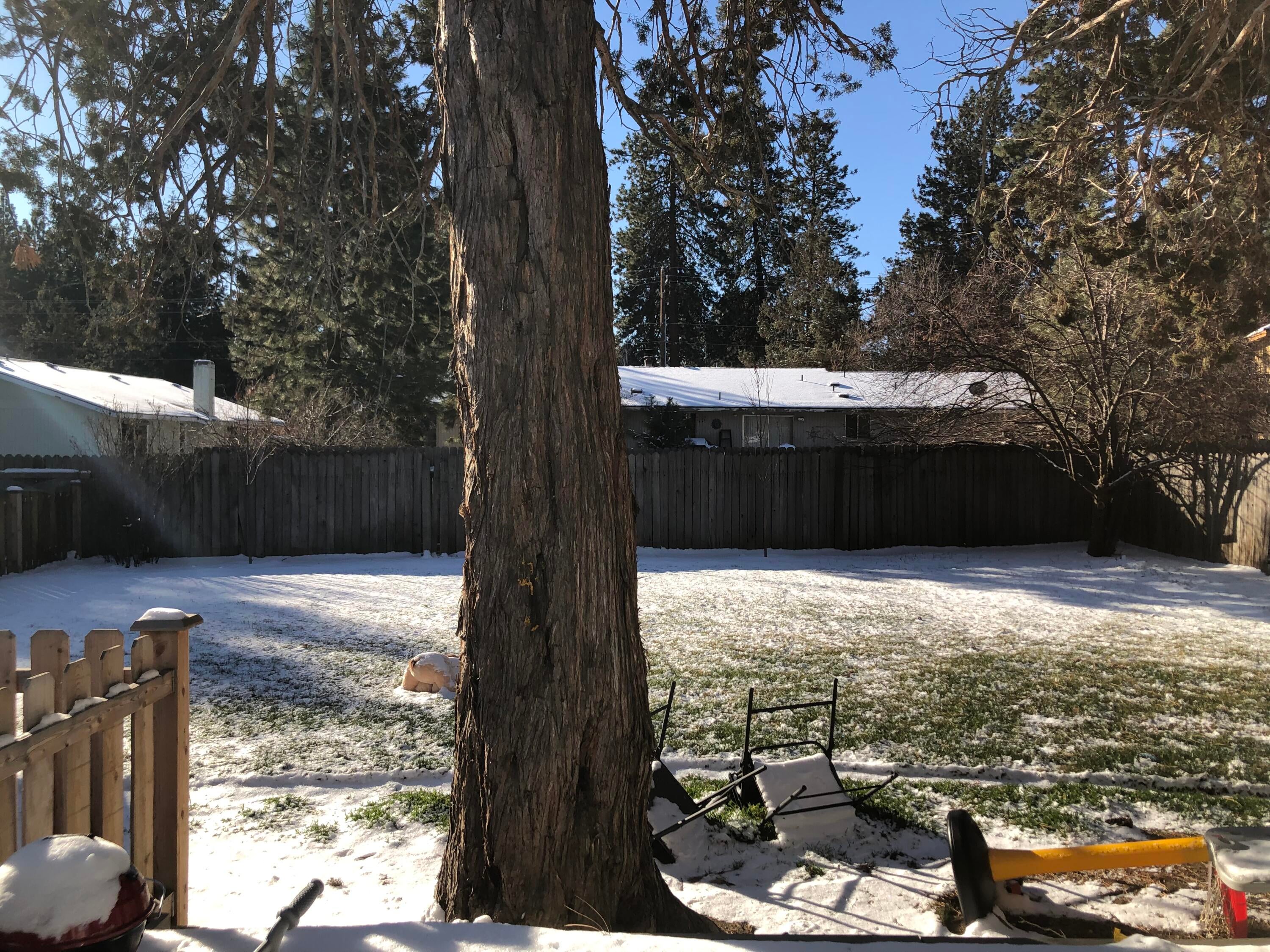 61140 Benham Road Bend, OR 97702 - Photo 6 of 18 Backyard