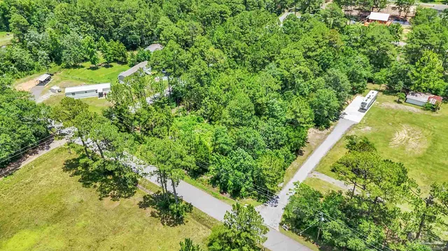 a view of a garden with a tree