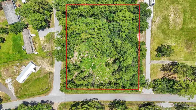 a view of a yard with plants