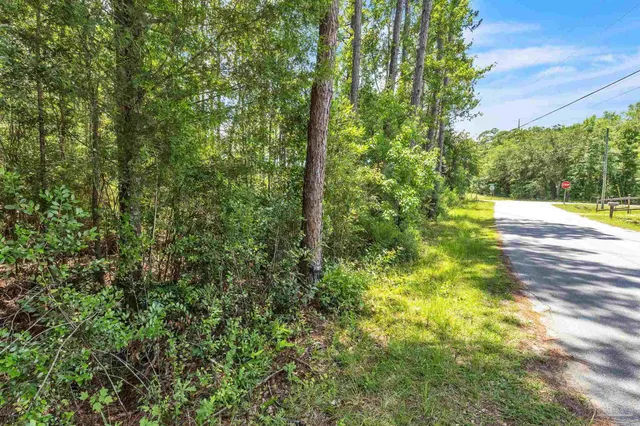 a view of yard with green space