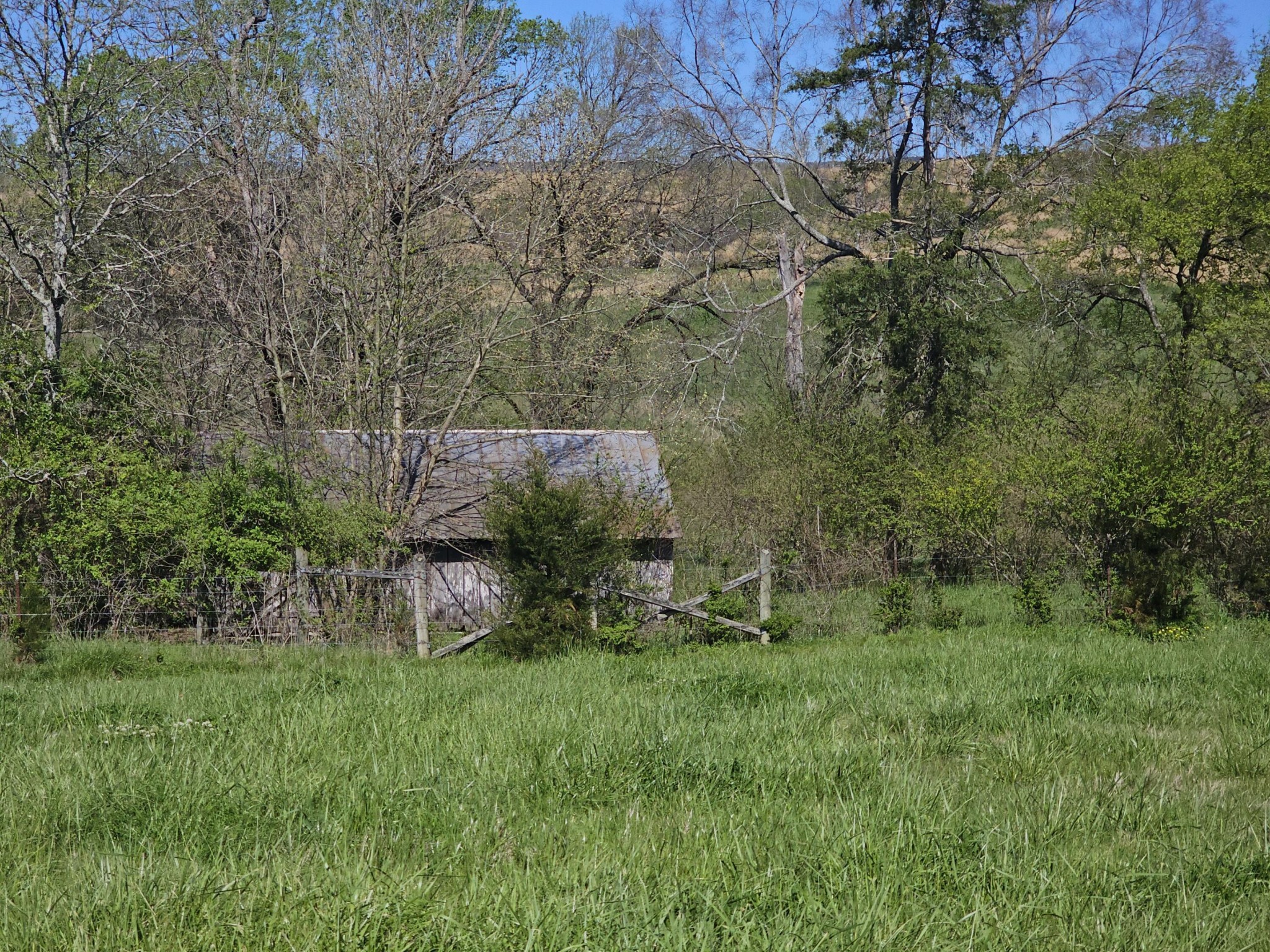 495 Lower East Valley Road Dunlap, TN 37327 - Photo 38 of 58 Gallery Image 38