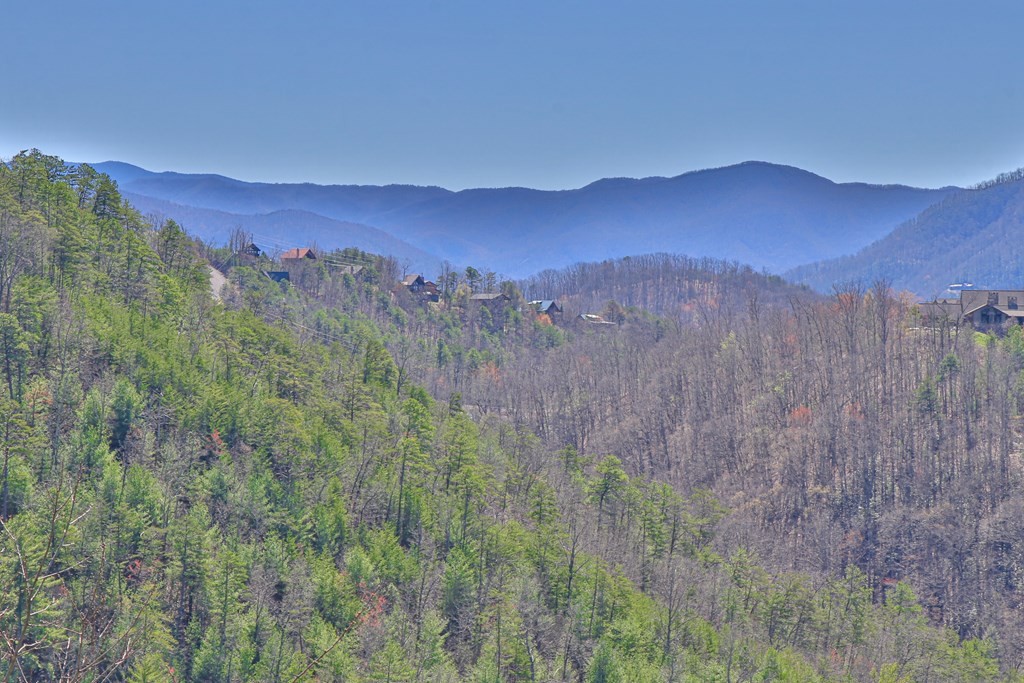 2969 Redtail Road Sevierville, TN 37862 - Photo 49 of 49 Gallery Image 49