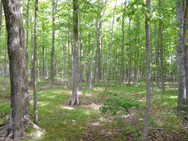 High Ridge Road Baileys Harbor, WI 54202 - Photo 1 of 1