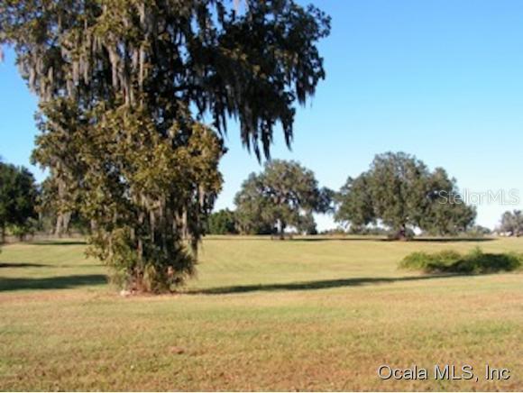 Tbd Northwest 110th Street Reddick, FL 32686 - Photo 1 of 1 Primary Photo