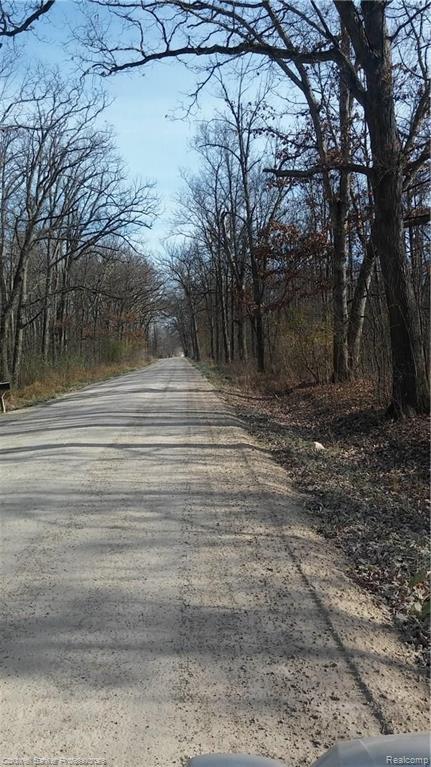 Eight West Eight Mile Road South Lyon, MI 48178 - Photo 21 of 58