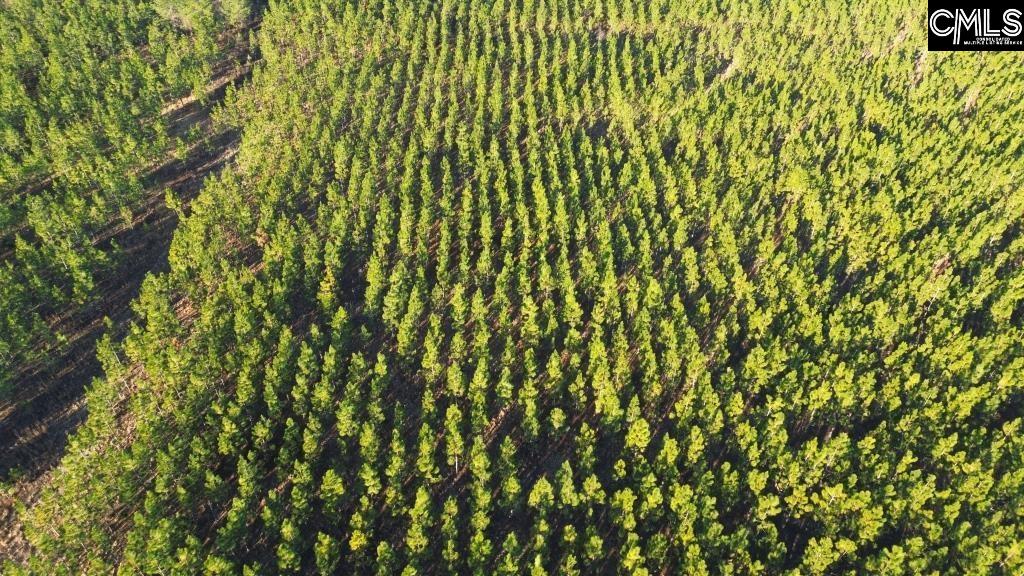 Holstein Road Wagener, SC 29164 - Photo 23 of 26