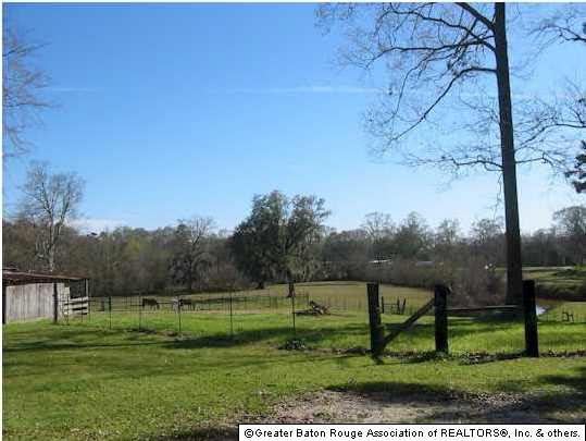 41492 Oak Harbor Road Prairieville, LA 70769 - Photo 4 of 4 Gallery Image 4