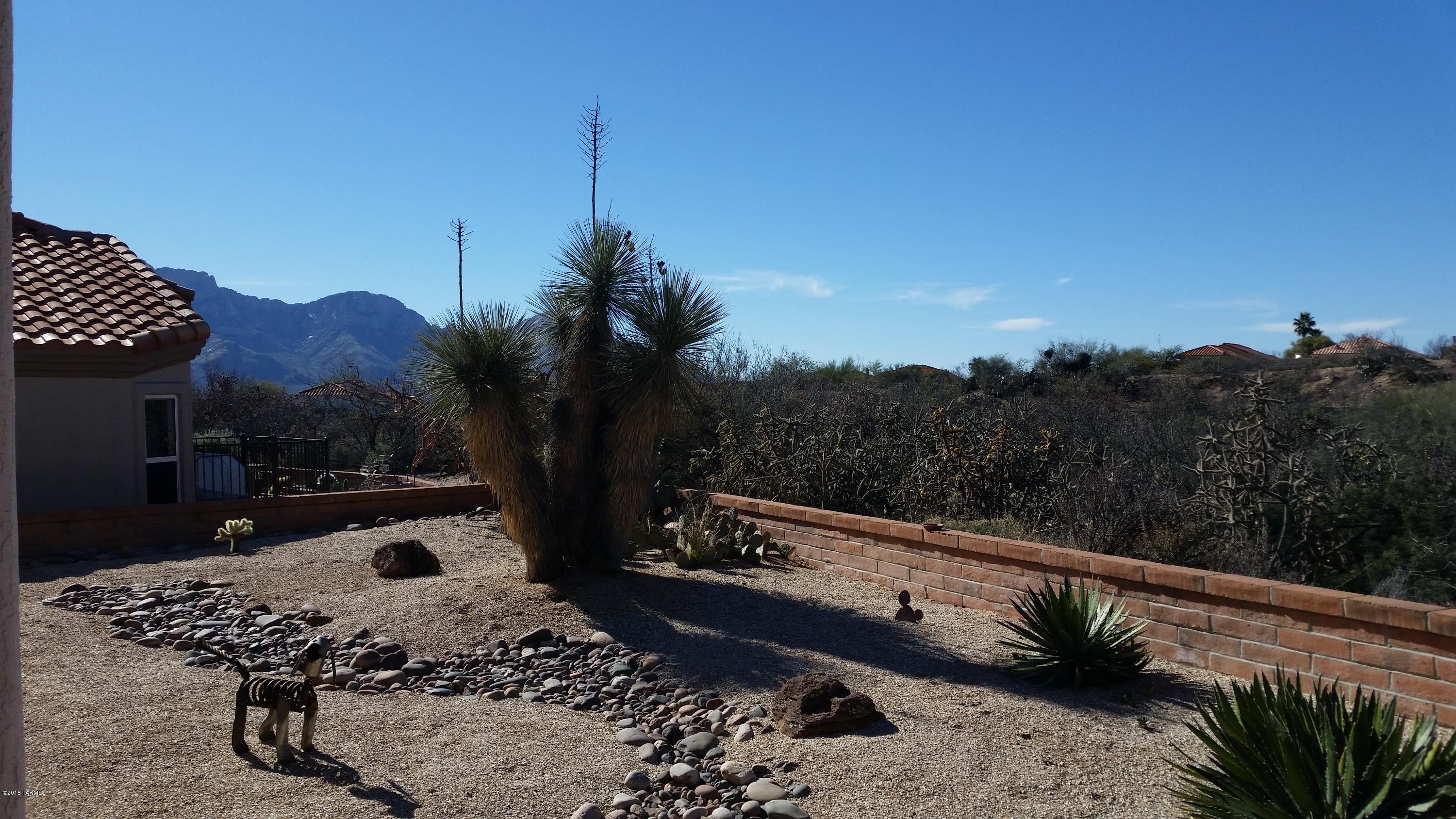 2156 East Ruellia Drive Tucson, AZ 85755 - Photo 19 of 29