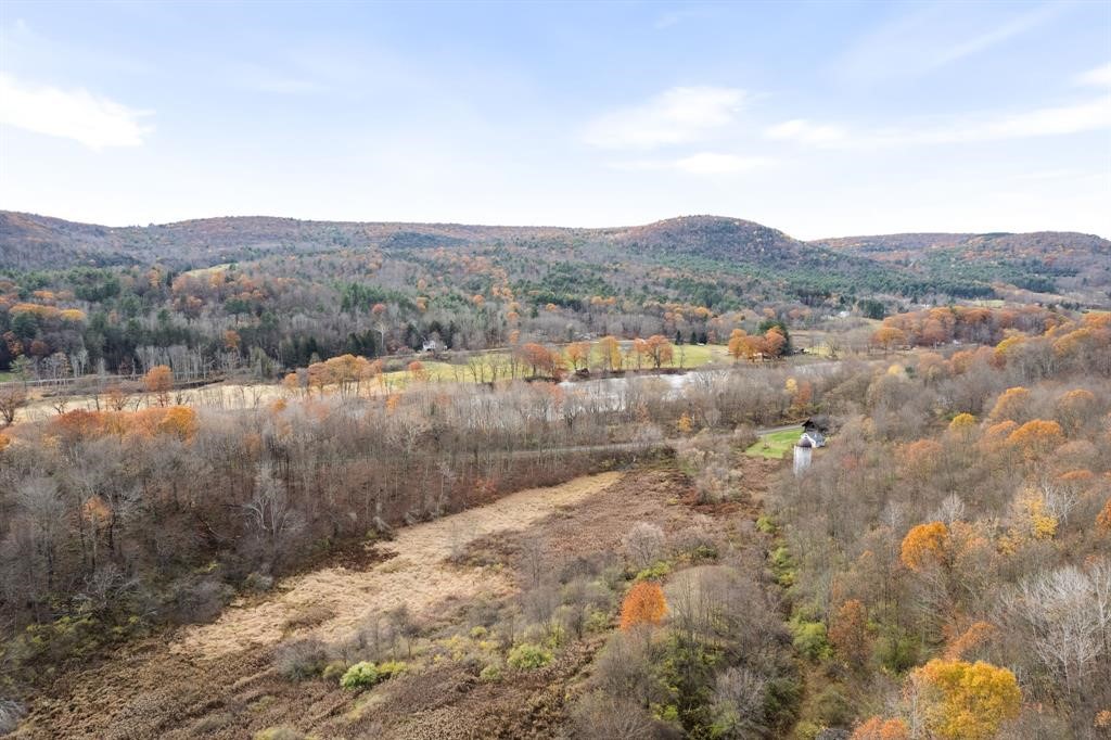 144 State Line Road Windsor, NY 13865 - Photo 12 of 12
