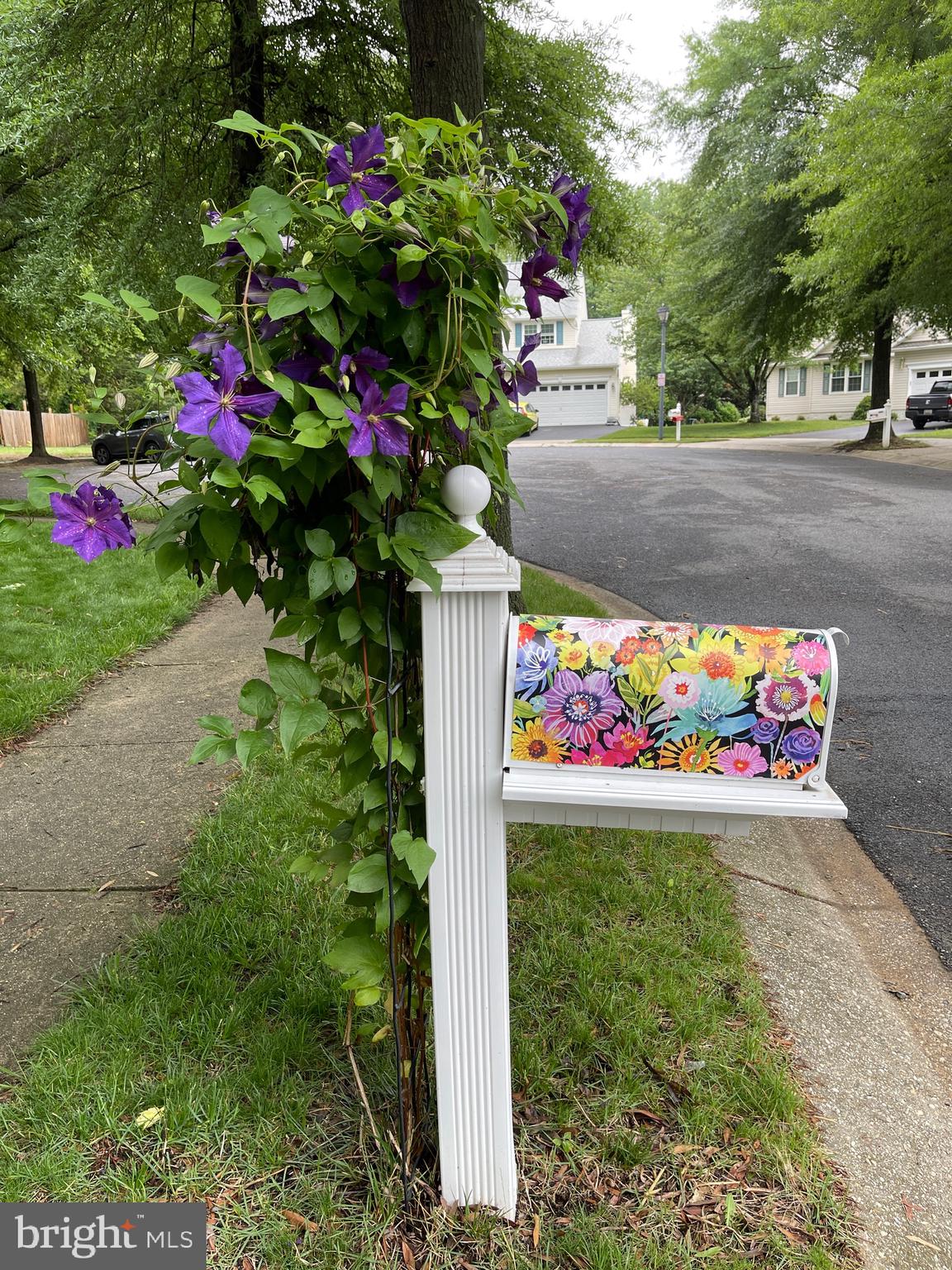 1106 Top Ridge Court Gambrills, MD 21054 - Photo 47 of 67 Clematis Climbing Mailbox
