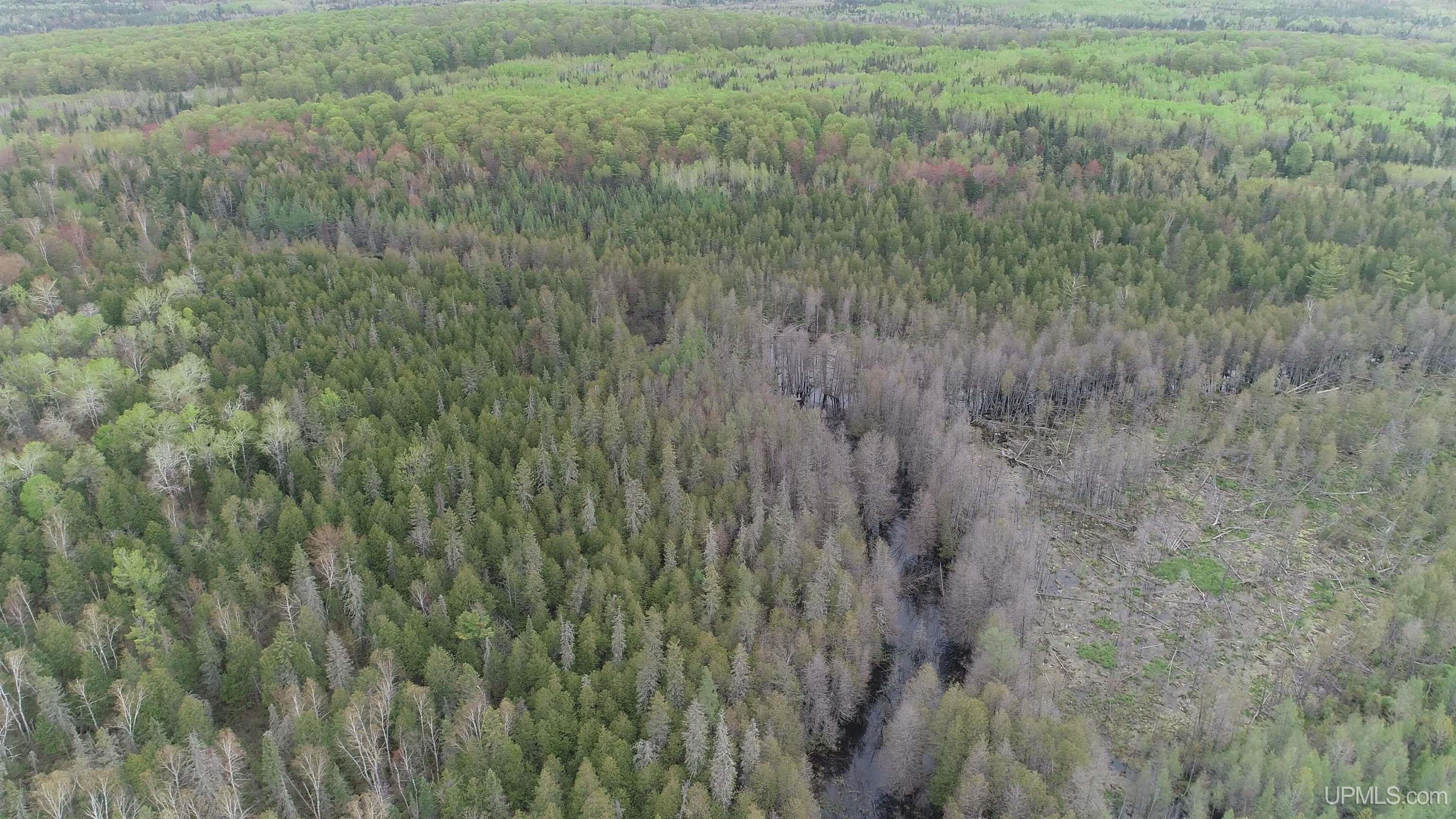 9 Rd Foster City Mi 49834 Road Felch, MI 49831 - Photo 17 of 32