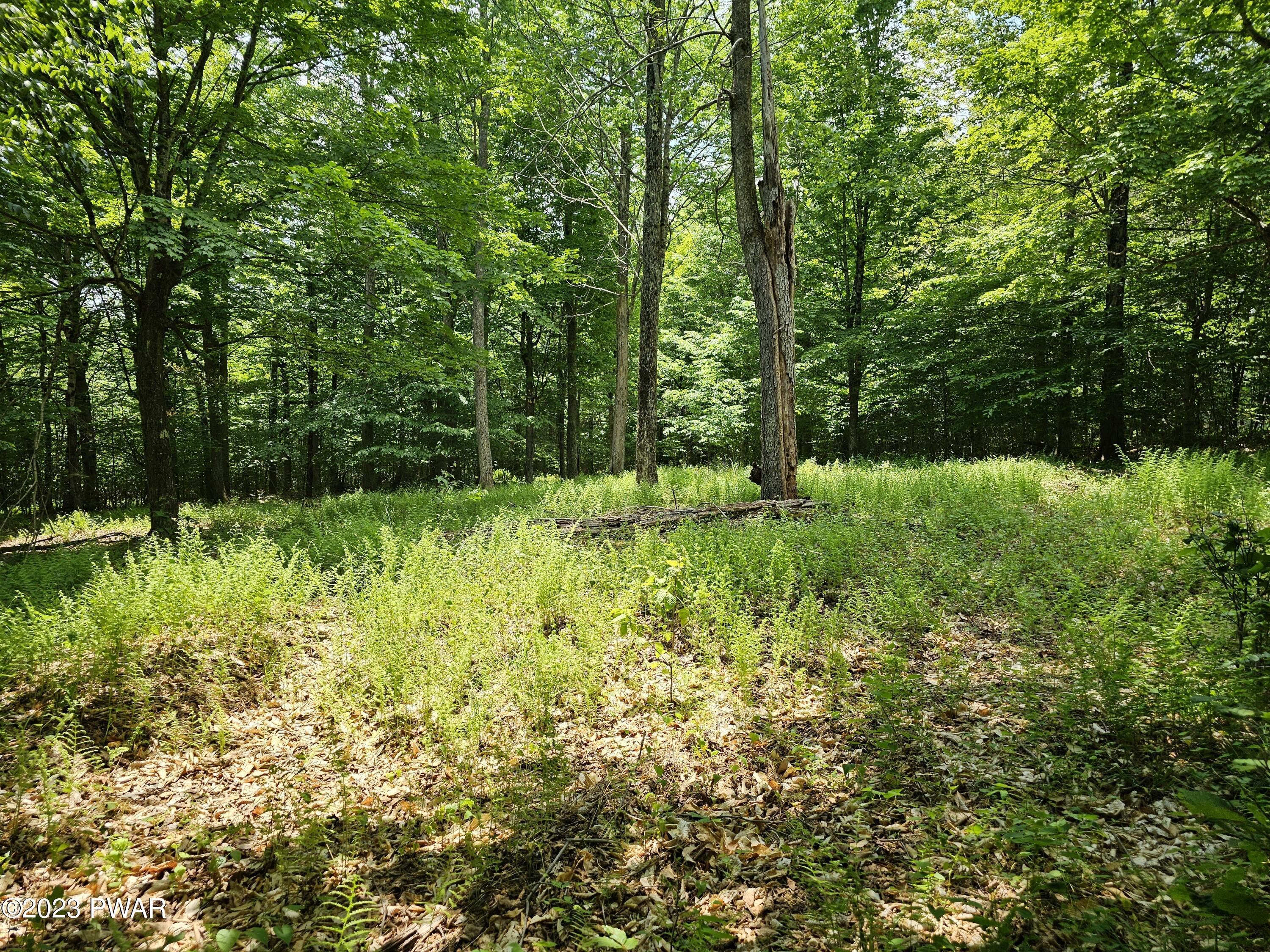 Lot 69 Stonegate Road Equinunk, PA 18417 - Photo 3 of 29
