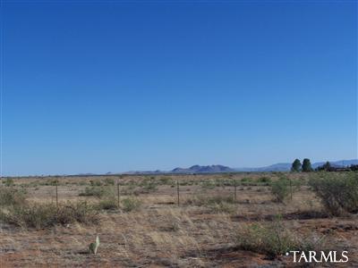 5196 East Philipps Road Willcox, AZ 85643 - Photo 7 of 16