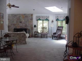 732 Sharon Hill Road Dover, DE 19904 - Photo 3 of 3 Gallery Image 3