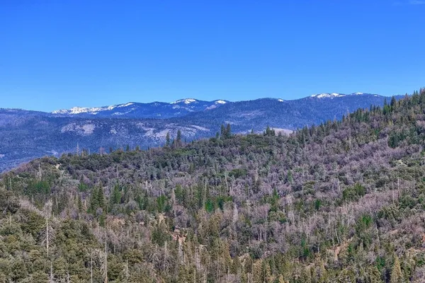 a view of a lush green mountain