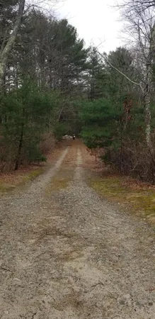 a view of a pathway both side of a yard