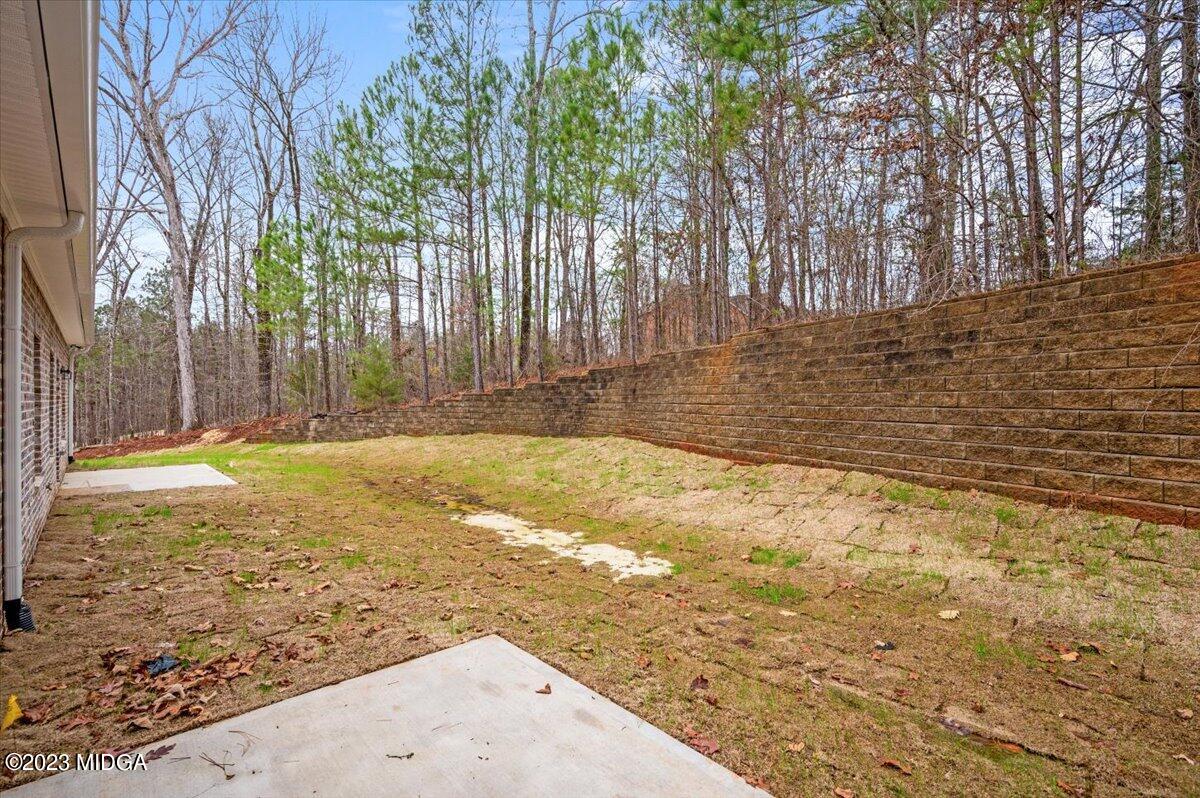 255 High Ridge Court Macon, GA 31220 - Photo 28 of 28 a view of yard with large trees