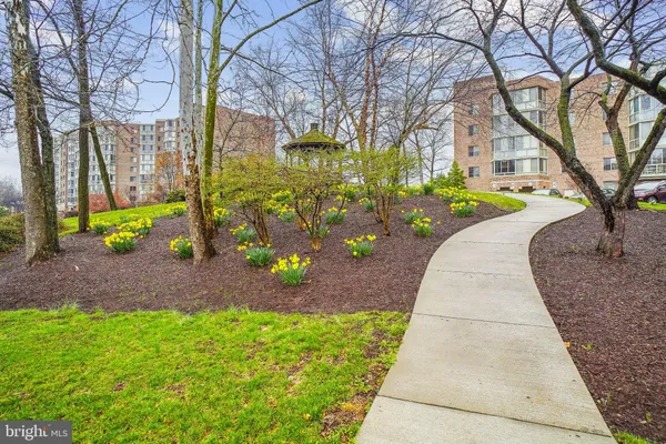 a view of a swimming pool with a garden