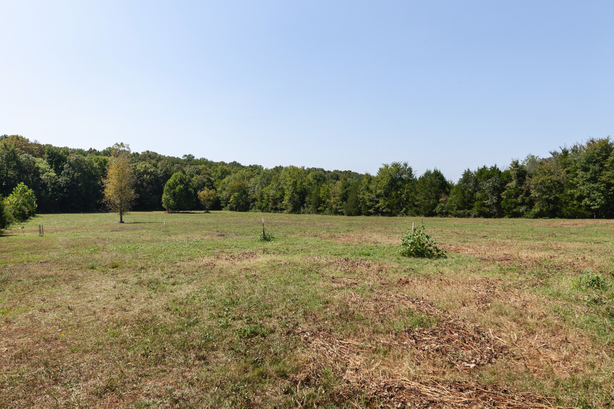 1605 Harkreader Road Mount Juliet, TN 37122 - Photo 23 of 24