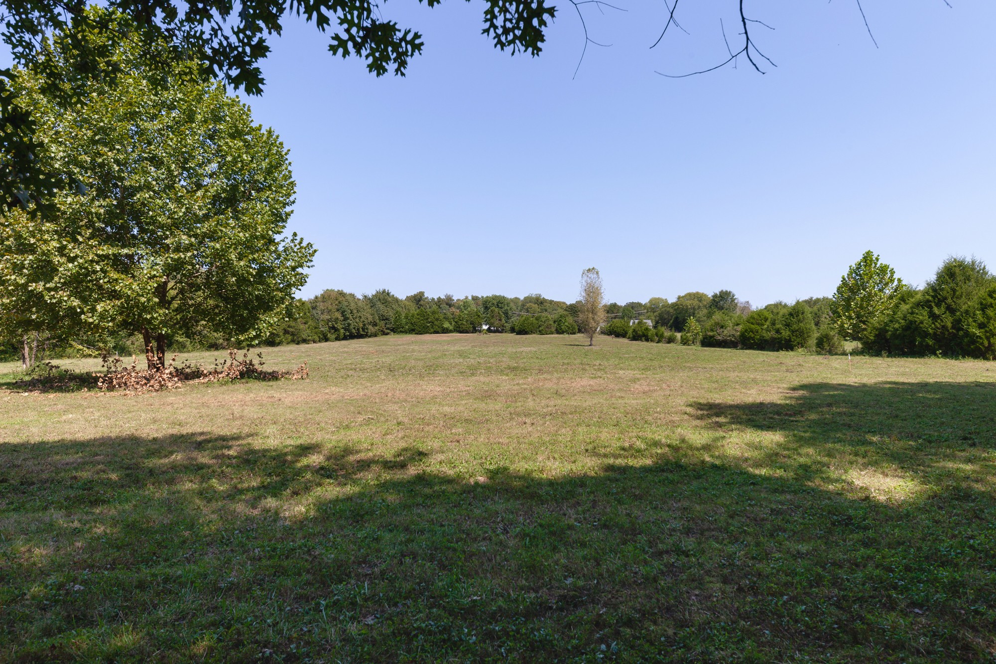 1605 Harkreader Road Mount Juliet, TN 37122 - Photo 6 of 24