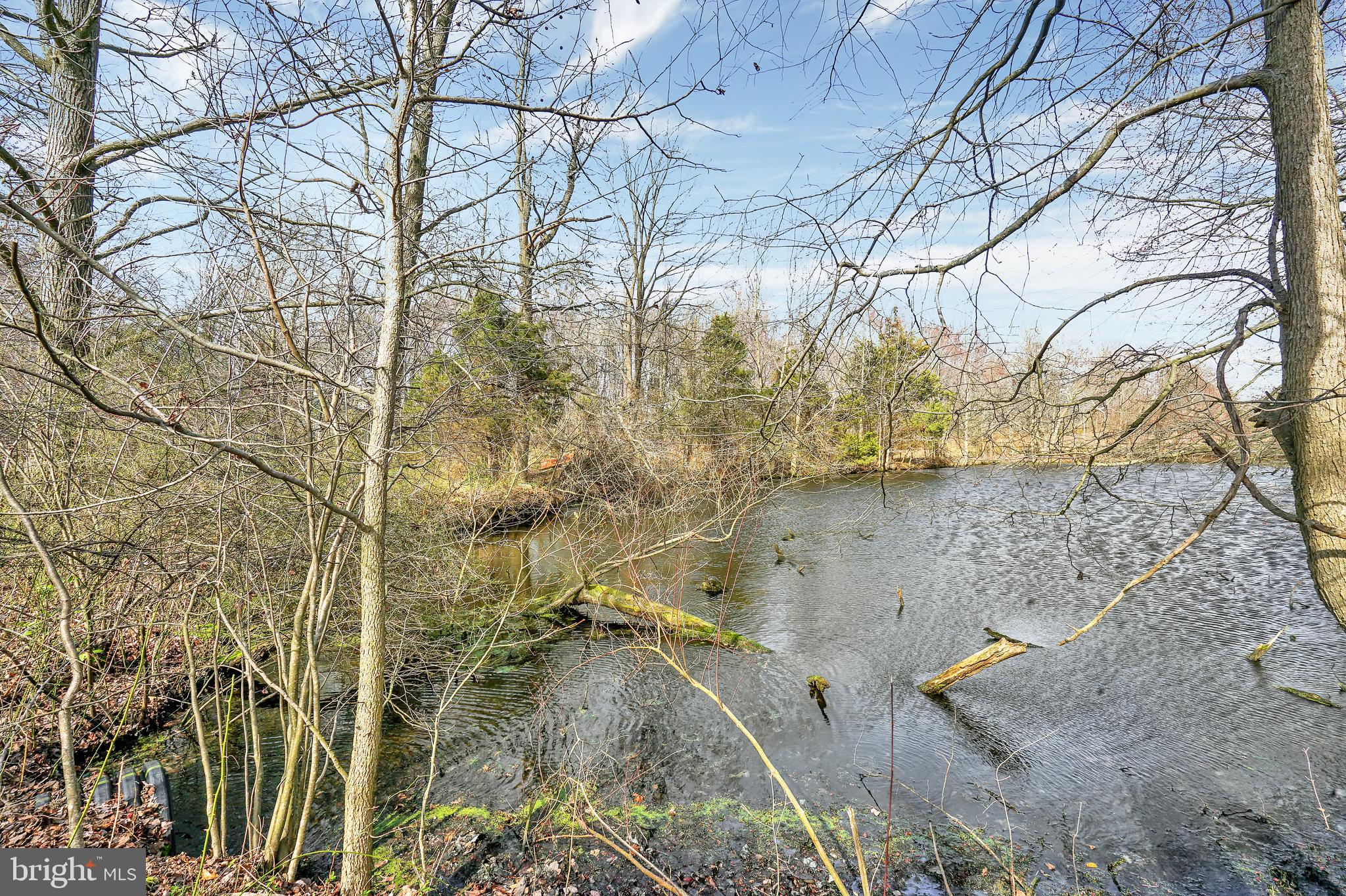32 Fenimore Road Lumberton, NJ 08048 - Photo 46 of 52 Your own personal pond