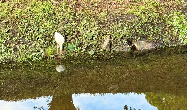 a view of a house with a outdoor space