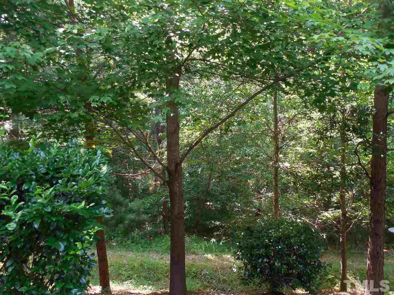 1235 Silver Beach Way Raleigh, NC 27606 - Photo 25 of 30 a view of a forest with trees