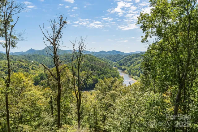 a view of mountain view with lots of trees
