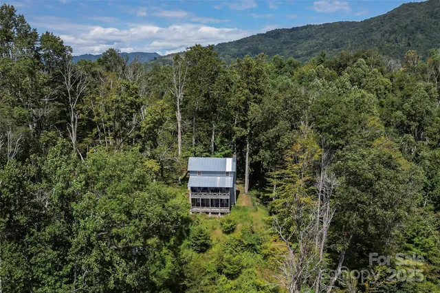 a view of a forest with a building in the background