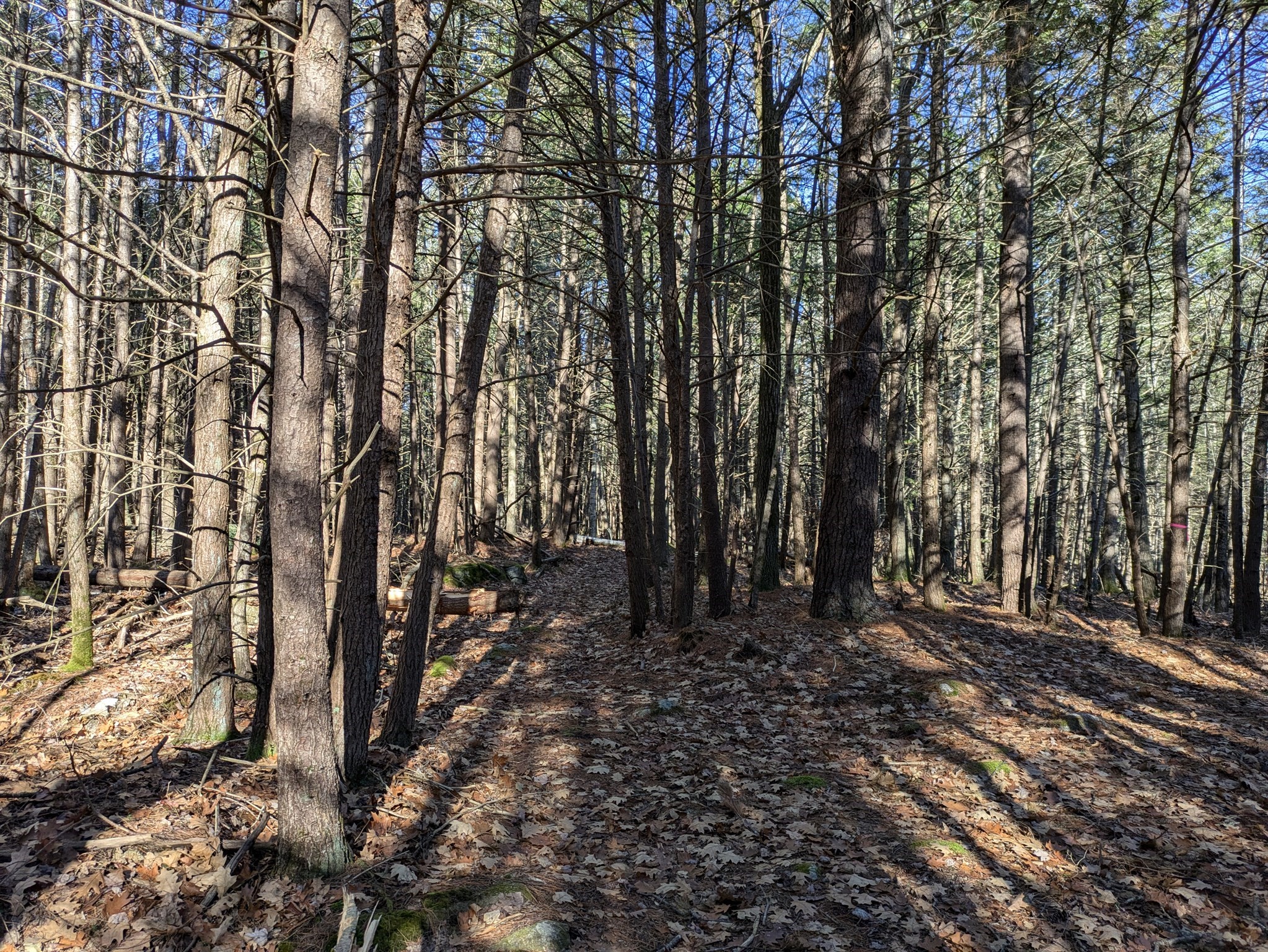 Lot 1 Willis Road Phillipston, MA 01331 - Photo 2 of 4 Gallery Image 2