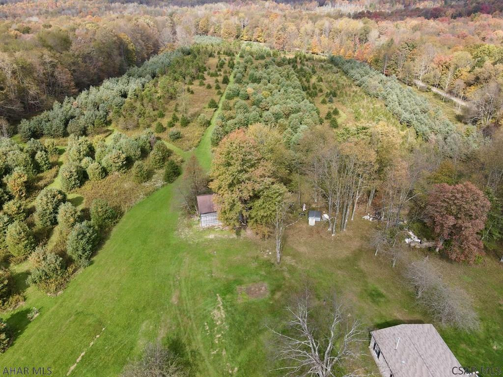 49-acres 49-acres Off Of Snake Road Ebensburg, PA 15931 - Photo 5 of 6