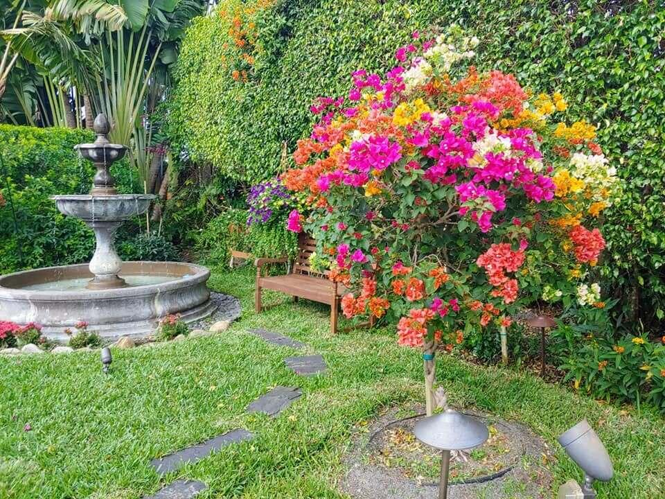 4201 Fillmore Street Hollywood, FL 33021 - Photo 17 of 27 From the Garden