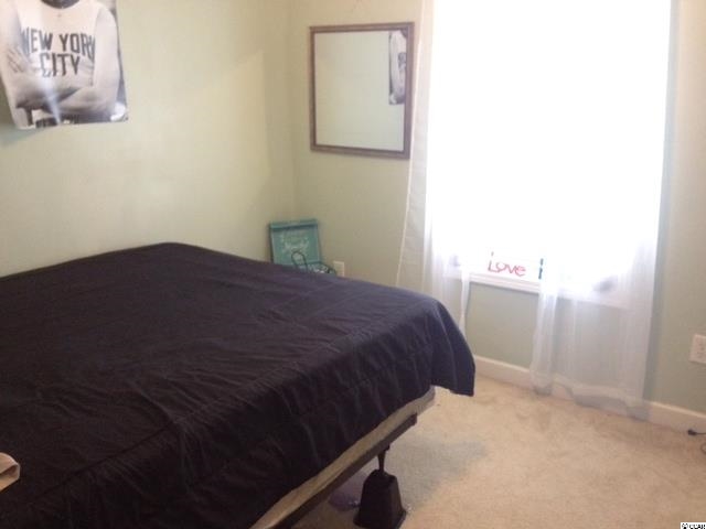 336 Kiskadee Loop, Unit 19K Conway, SC 29526 - Photo 16 of 25 Gallery Image 16