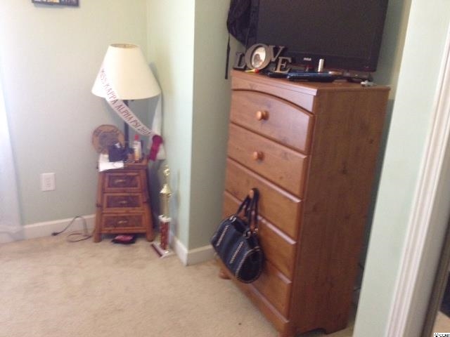 336 Kiskadee Loop, Unit 19K Conway, SC 29526 - Photo 17 of 25 Gallery Image 17