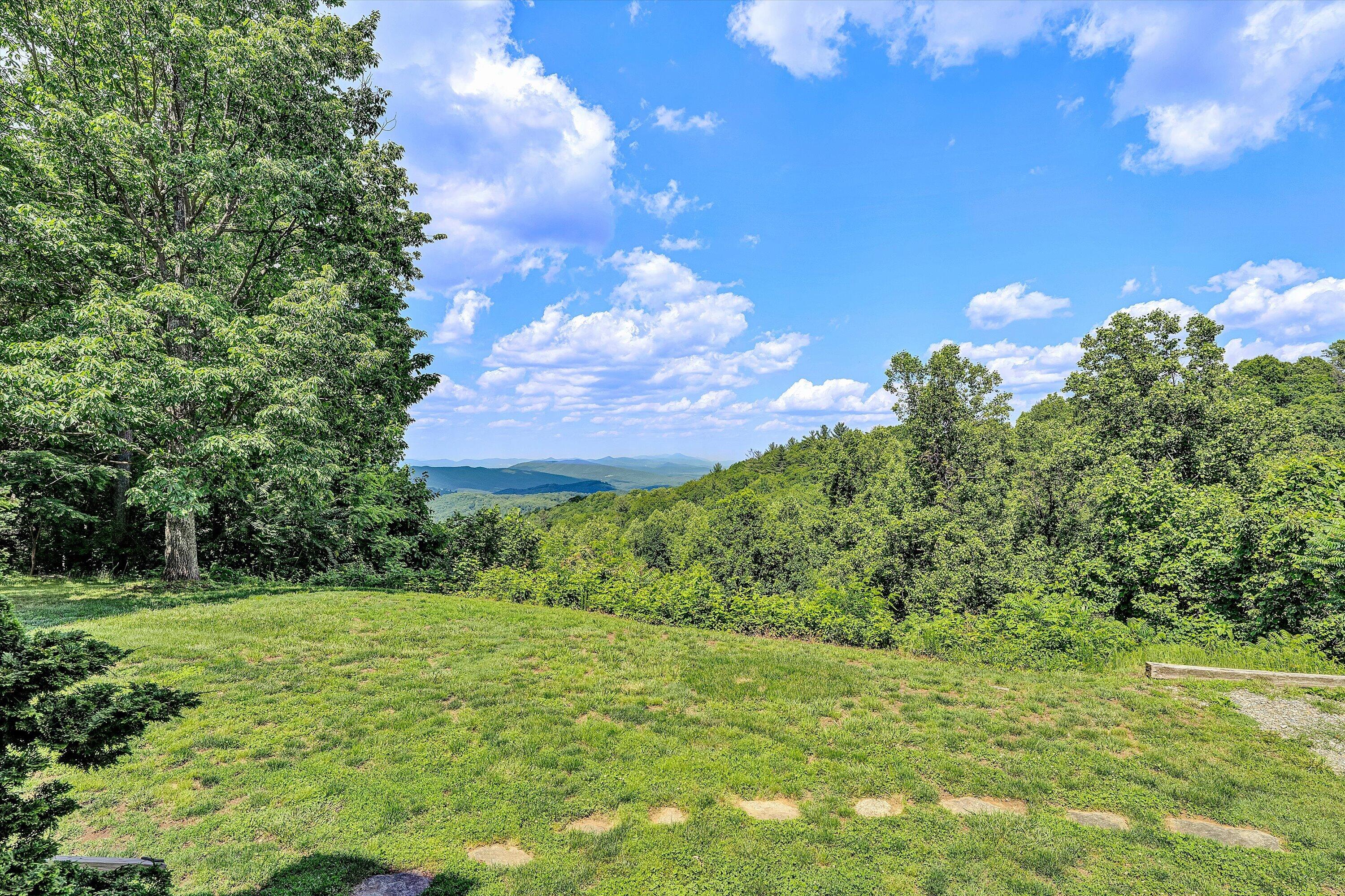 777 Hicks Hollow Road Boones Mill, VA 24065 - Photo 39 of 46 38-SGP-01420