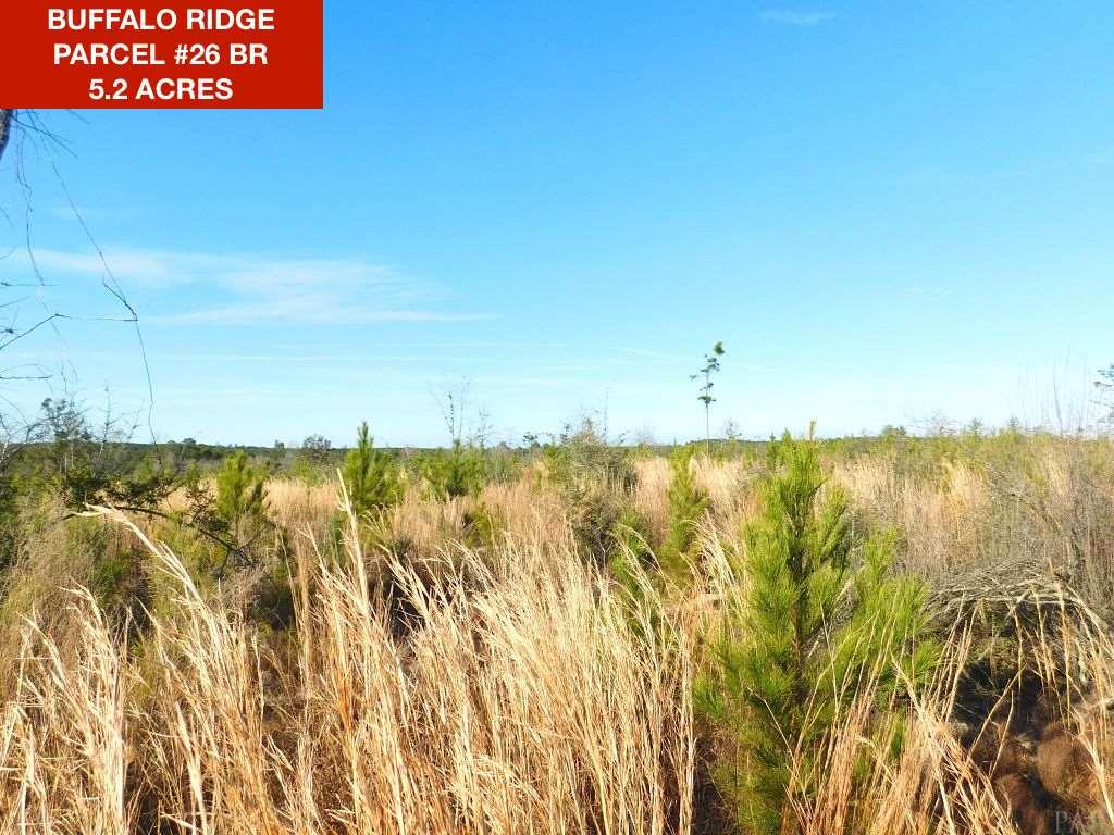 Lot 26-br Buffalo Ridge Road Pace, FL 32571 - Photo 1 of 9