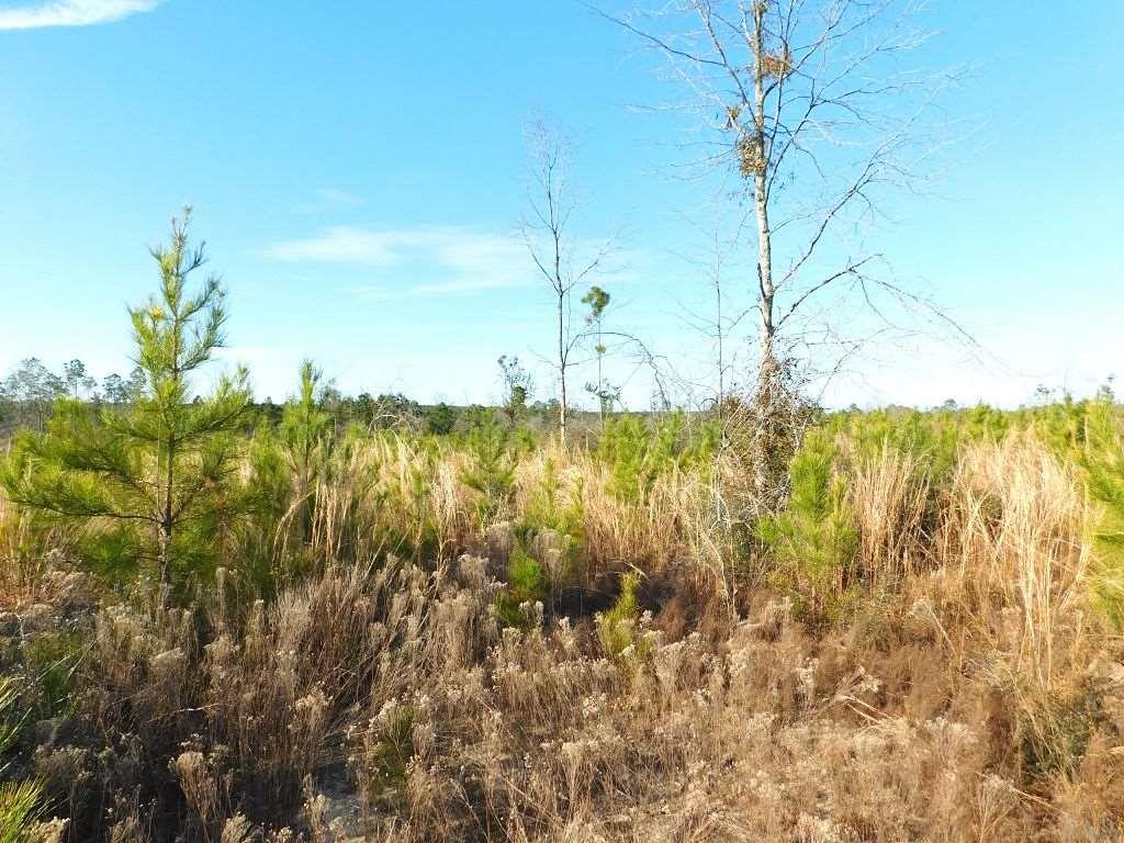 Lot 26-br Buffalo Ridge Road Pace, FL 32571 - Photo 2 of 9