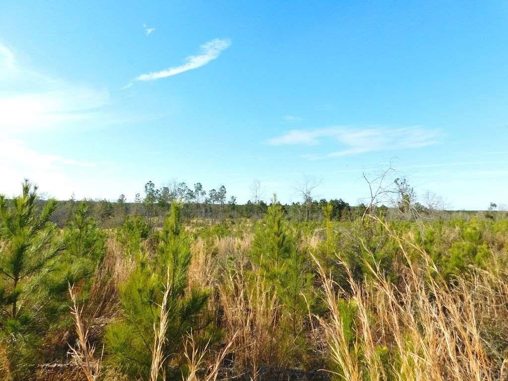 Lot 26-br Buffalo Ridge Road Pace, FL 32571 - Photo 3 of 9