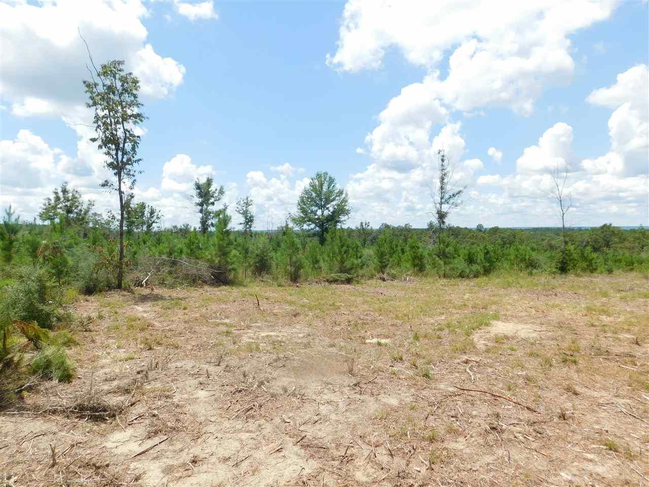 Lot 26-br Buffalo Ridge Road Pace, FL 32571 - Photo 6 of 9
