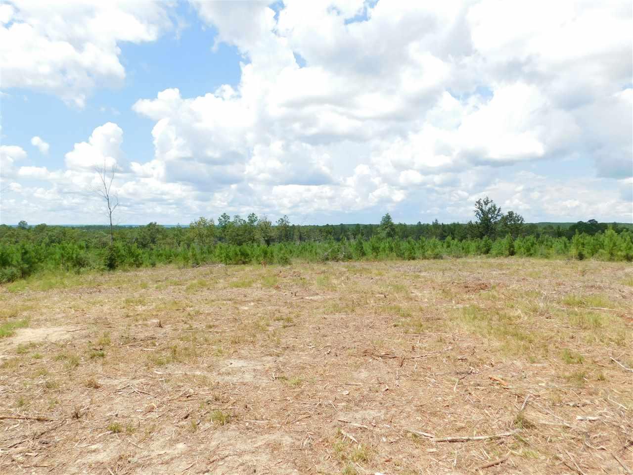 Lot 26-br Buffalo Ridge Road Pace, FL 32571 - Photo 7 of 9