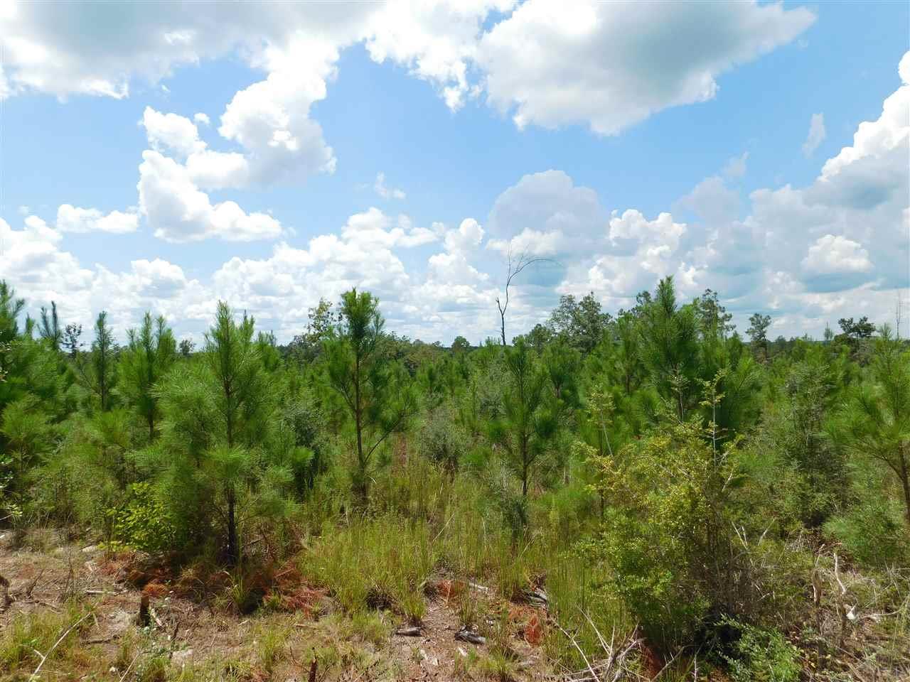 Lot 26-br Buffalo Ridge Road Pace, FL 32571 - Photo 9 of 9