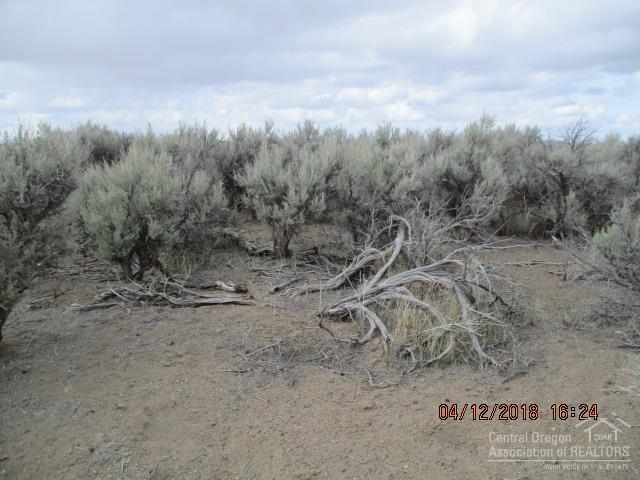 700 No Name (off Twilight Rd) Road Christmas Valley, OR 97641 - Photo 3 of 7 Additional Photo