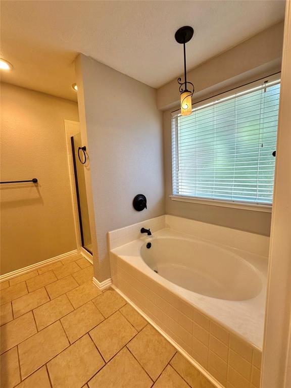 4905 Spur Ridge Court Fort Worth, TX 76244 - Photo 12 of 20