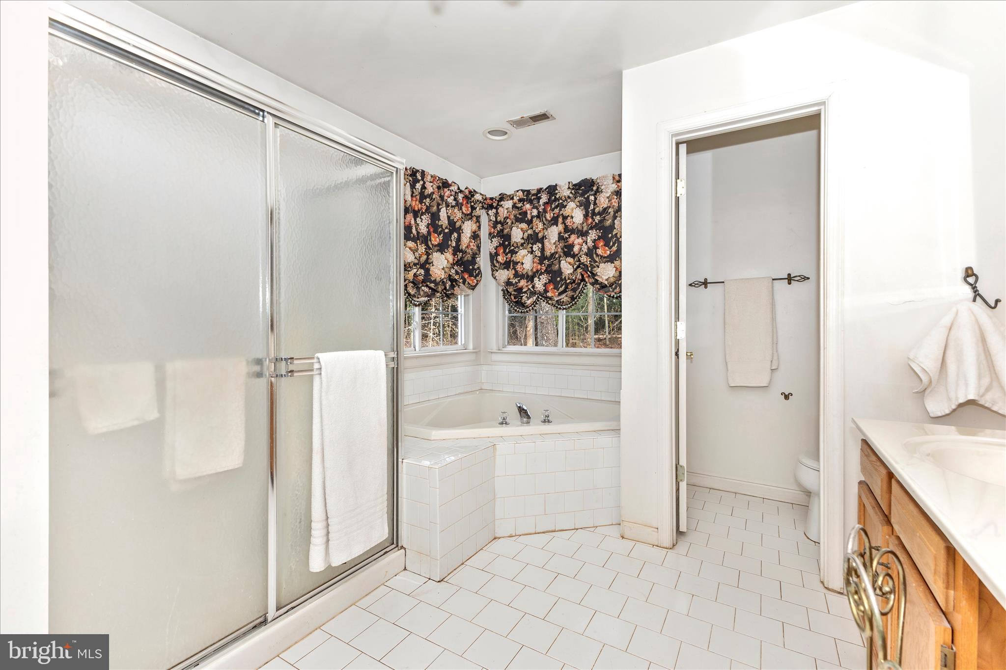 13607 Bardon Road Phoenix, MD 21131 - Photo 35 of 66 Primary Bathroom