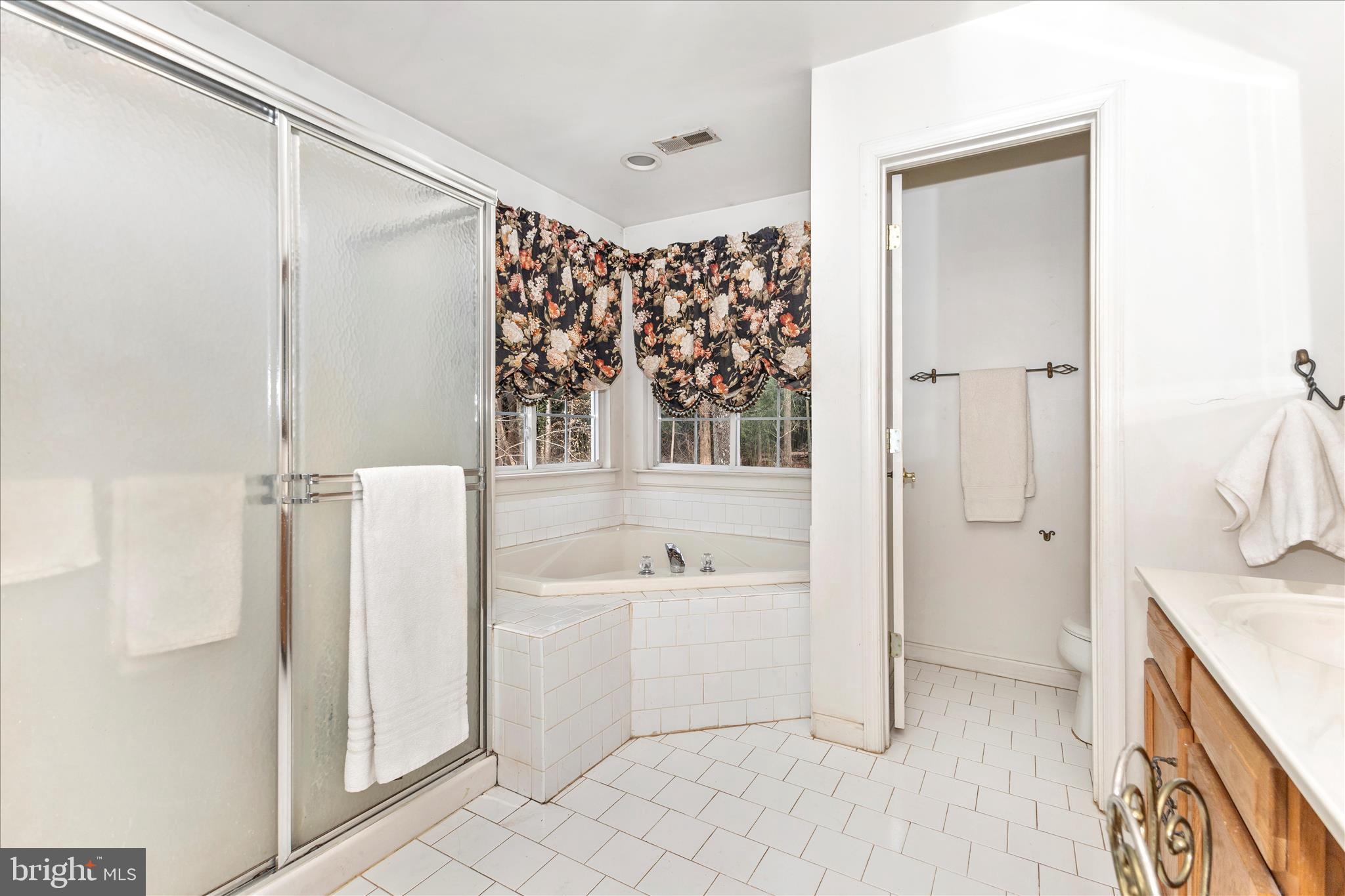 13607 Bardon Road Phoenix, MD 21131 - Photo 37 of 66 Primary Bathroom